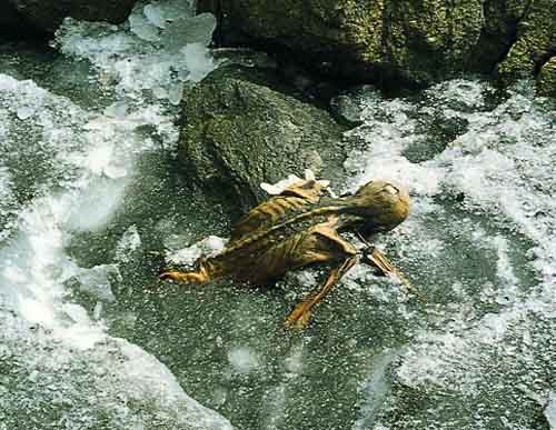 De mummy tzi in the glacier of the tzthal